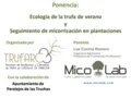 Ecología de la trufa de verano y seguimiento de micorrización en plantaciones