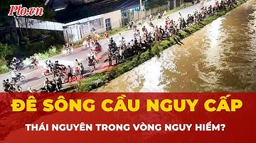 Thái Nguyên nguy hiểm bởi nước lũ sông Cầu, hàng ngàn người trắng đêm giữ đê | Tin nhanh