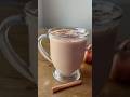 Gingerbread hot cocoa  made with keto chow shorts