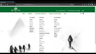 15. 2  HTML Injection on Live Website