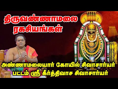 Thiruvannamalai | திருவண்ணாமலை கோயிலில் ஒரு நாள் பூஜைகள் என்னென்ன ? | திருக்கார்த்திகை ஸ்பெஷல்