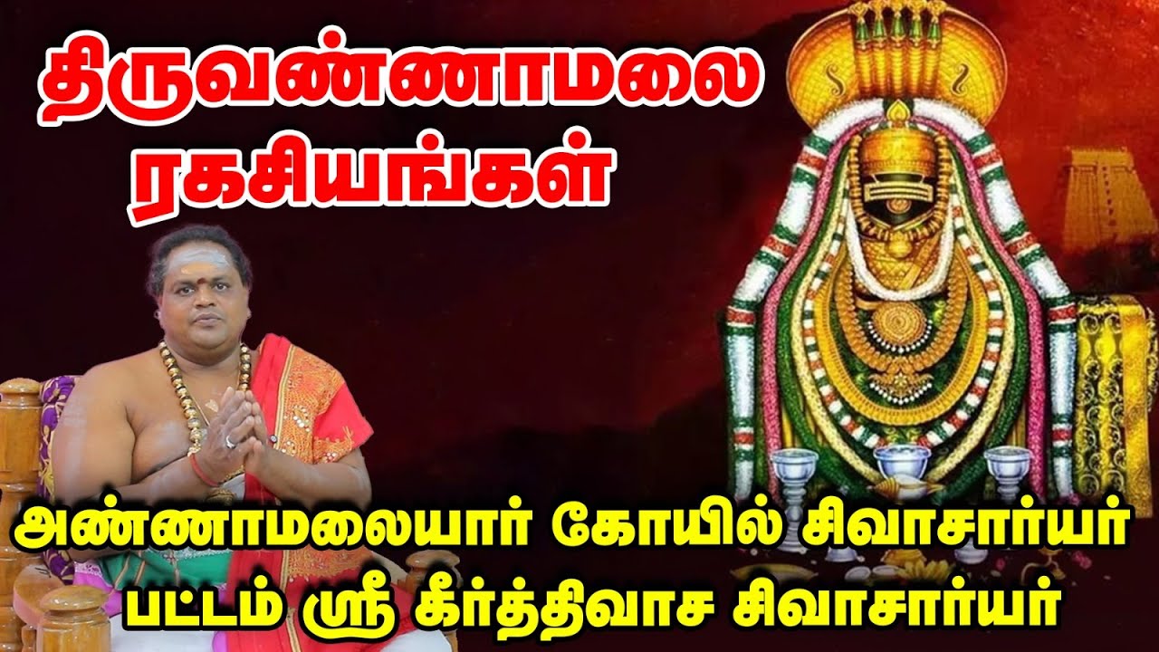 Thiruvannamalai | திருவண்ணாமலை கோயிலில் ஒரு நாள் பூஜைகள் என்னென்ன ? | திருக்கார்த்திகை ஸ்பெஷல்