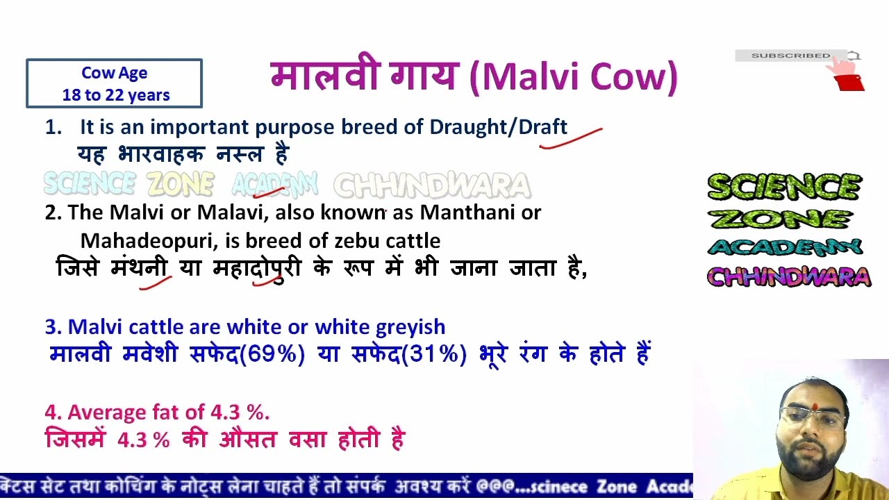 Malvi Cow | मालवी गाय | Animal husbandry in Hindi |  Top agriculture Video | MP CG PAT syllabus