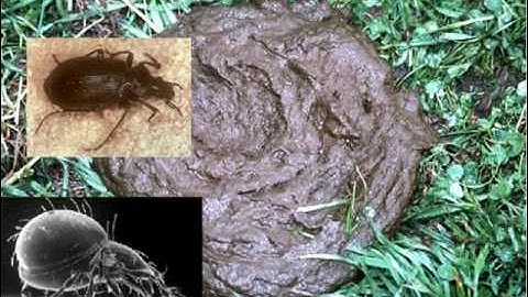 Basic Soil Health & Soil Testing