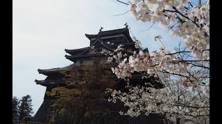 Japan in cherry blossom period