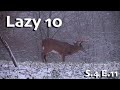 Whitetail Edge Season 4 Ep. 11 - Lazy 10