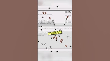 바이러스 1000개 설치하자 벌어진 비극