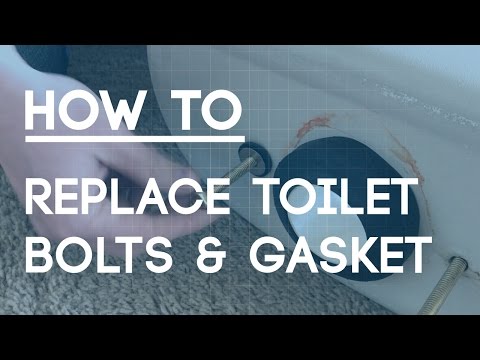 How to Replace Toilet Bolts and Gasket - Fix a Leaky Toilet