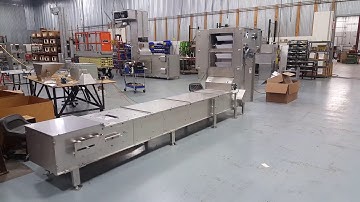 INDEXING BUCKET CONVEYORS