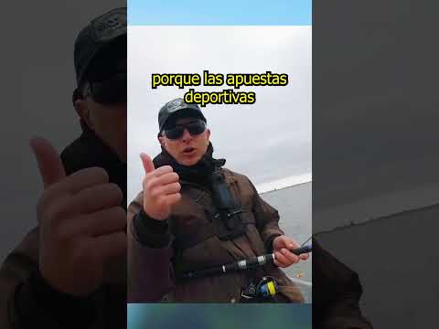 Que opinas de apuestas deportivas y casinos online. Deja tu comentario.