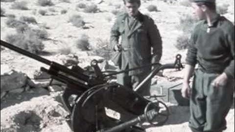 Operation Torch .... !