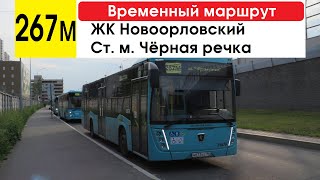 Автобус 267м &quot;ЖК &quot;Новоорловский&quot; - ст. м. &quot;Чёрная речка&quot; (временный маршрут) (маршрут закрыт)