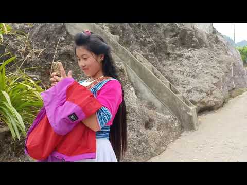 Video: Chaw Ua Si-safari 