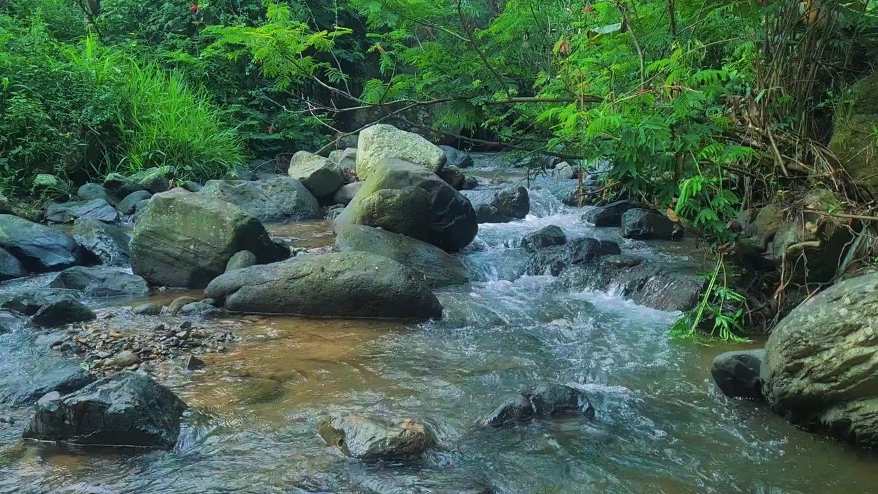 Nighttime River Ambience – Soothing Moonlit Flow to Help You Sleep Comfortably