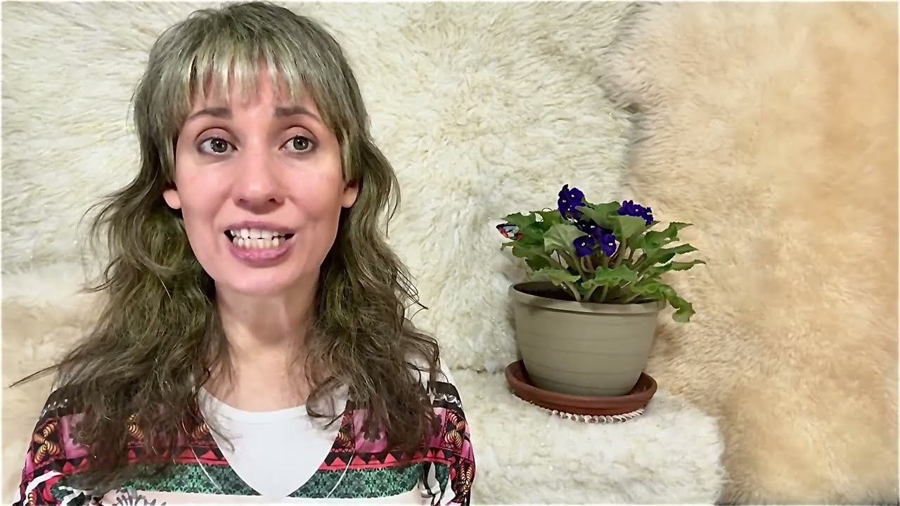 48. Be Careful What You Support (The Life of Jesus Christ)