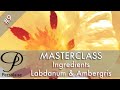 Perfume Masterclass episode 9 - Ingredients - Labdanum &amp; Ambergris