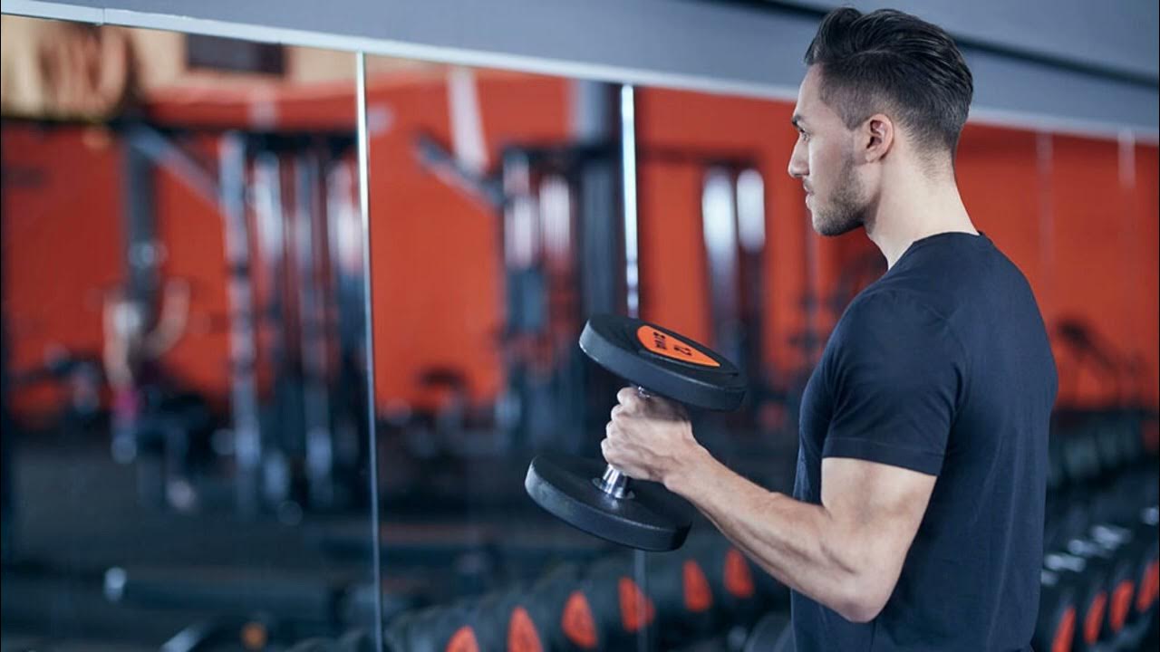 Кроссовер hasttings digger. Фит джим смоленск юбилейный бассейн. Тренажер body sculpture bmg-4300. Gym basic. Коробка спорт зал.