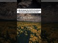 🅸︎slamic 🇶 uestion#shortfeed #shortsviral #shots #islamic #trending #islamicvideo #viral #viralvideo