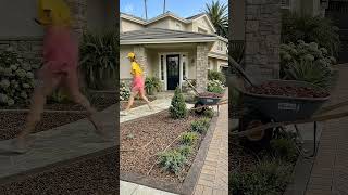 This Front Yard Makeover Instantly Boosted My Home's Value! 🏡✨