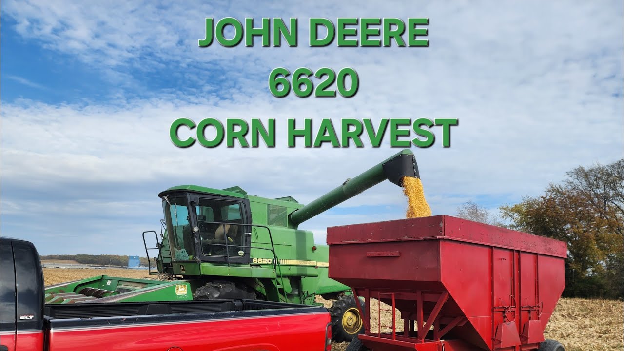 John Deere 6620 Titan II Шеллинг кукурузы