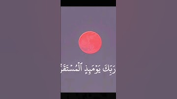 القرآن الكريم نور وهدى ورحمة للمؤمنين