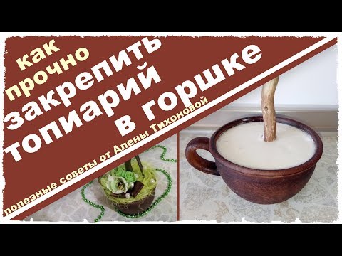 Горшочек для топиария своими руками