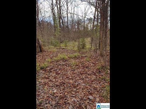1237 SHORTOWN BRANCH RD 1, Bessemer, AL home video tour