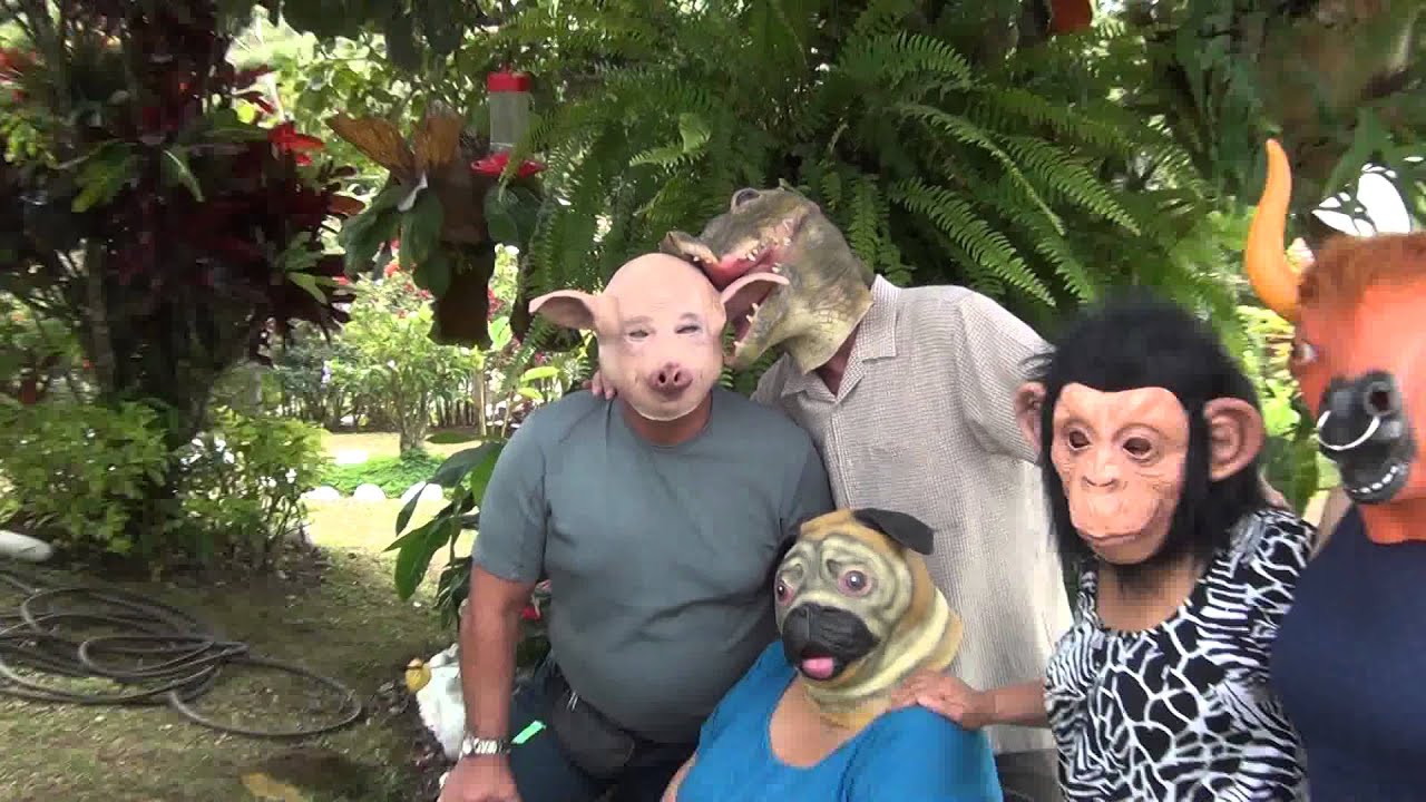 mascaras de latex animales YouTube