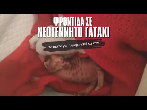 Βίντεο: Είναι υδαρή τα κακά του νεογέννητου;