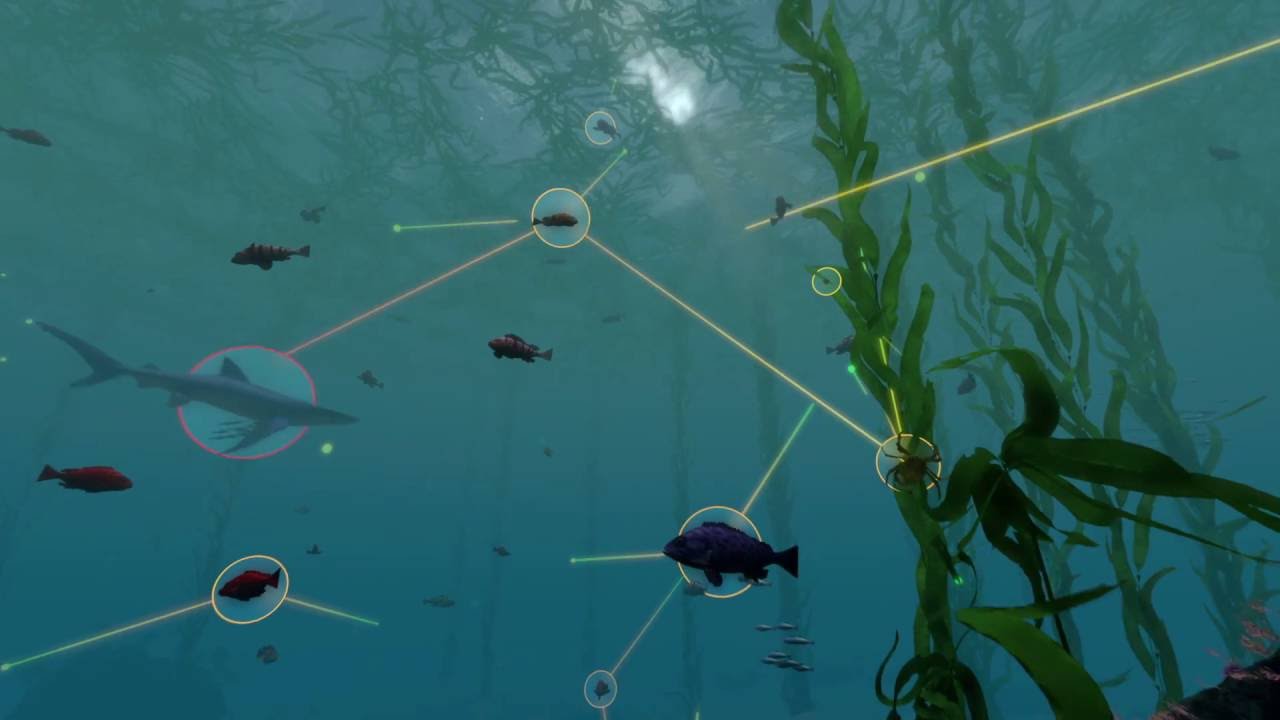 Exploring Ecosystems: Coastal Food Webs | California Academy of Sciences