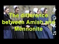 What is the difference between Amish and Mennonite??