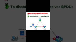 CCNA Q&A 12 #ccna #education #networkingpower #ccna_certification #computer #ccnanetworkengineer