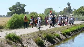 TUMBA DE CRUCES FARISEOS DE SAN ANTONIO 2023