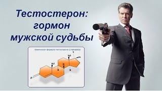 Тестостерон: гормон мужской судьбы Тестостерон: гормон мужской судьбы