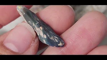 Opalised Fossils Lightning Ridge Australia teeth, claws, bones