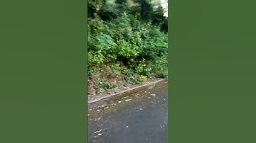 Overthereality OVR MAP2EARN merge.islamic.phys