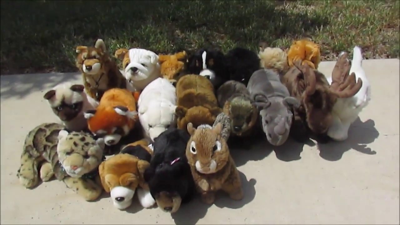 webkinz signature collection