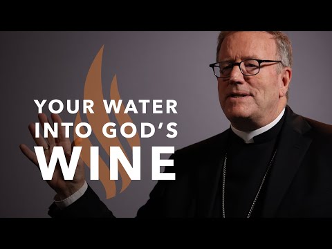 Your Water into God’s Wine - Bishop Barron's Sunday Sermon