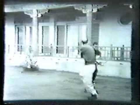 TT Liang Tsun Tsai Sword Fencing