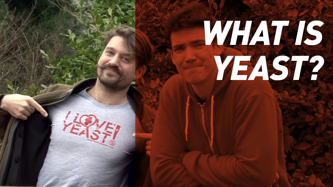 Yeast Rapper What is Yeast? - Singer Instruments - YouTube