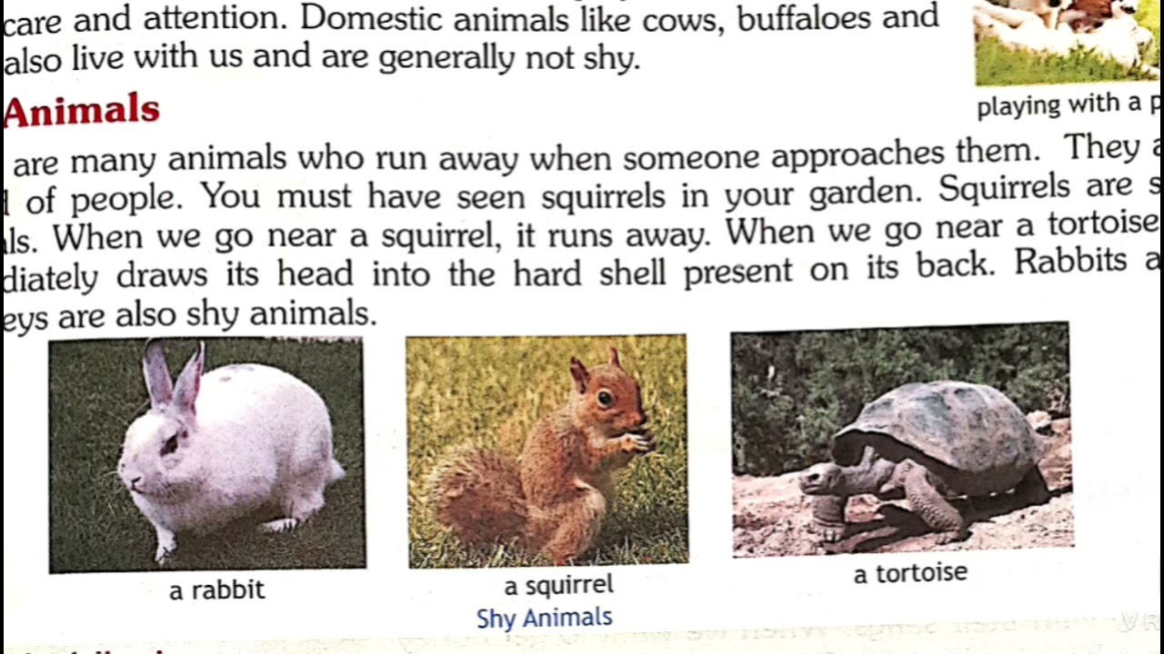 CLASS 4 EVS LS 15 ANIMALS LIVING TOGETHER