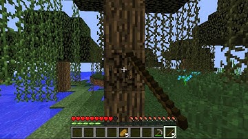 Minecraft - LoiLo Game Recorder