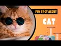Cats: Purr-fectly Intriguing - 5 Fascinating Fun Facts