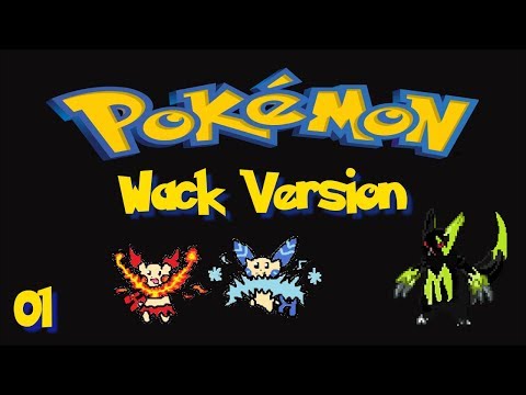 Pokemon Wack Team in Insanity mode with Randomizer by GenDraconis