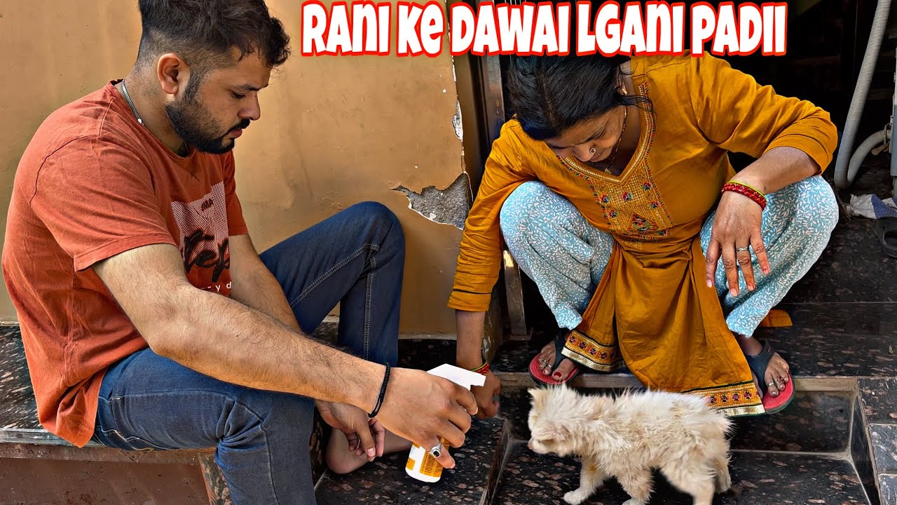 Rani ko aj dawai lgani padi || Rani ke baalo m chote chote kide 🦟 