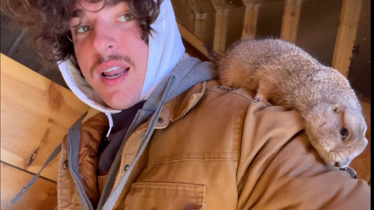 All of My Animals Froze to Death (starting over)