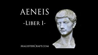 Vergils Aeneid - Book I - Novice Latin