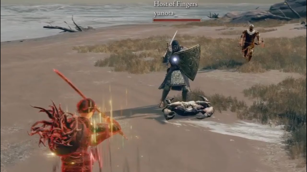 Elden Ring. Respectable valorous goobers / Timid down-scaled phantoms & host.