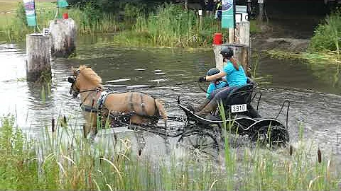 VAN MEERTEN Lisanne, NED, CAI2# Exloo, Po1, Marath...