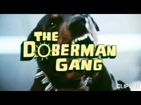 تیزر شش سگ گانگستر دوبله The Doberman Gang1972 بازیگران Byron Mabe Hal Reedپس از یک سارق درسرقت ک
